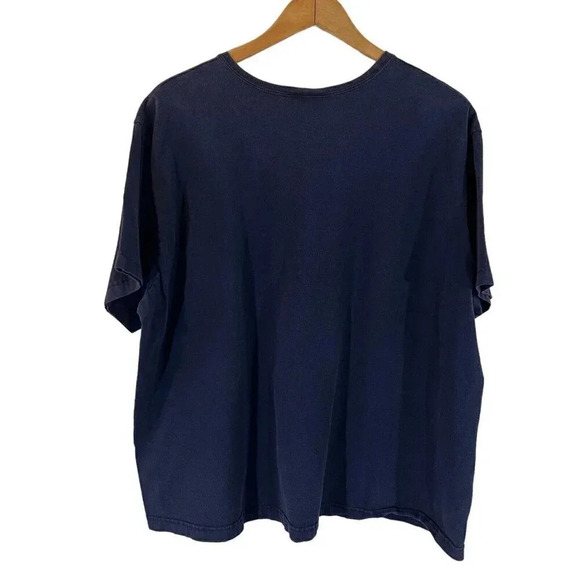 Top Stitch Morning Sun Embroidered T Shirt Plus 3X Dragonfly Lilypad Frog Flower - Picture 2 of 8